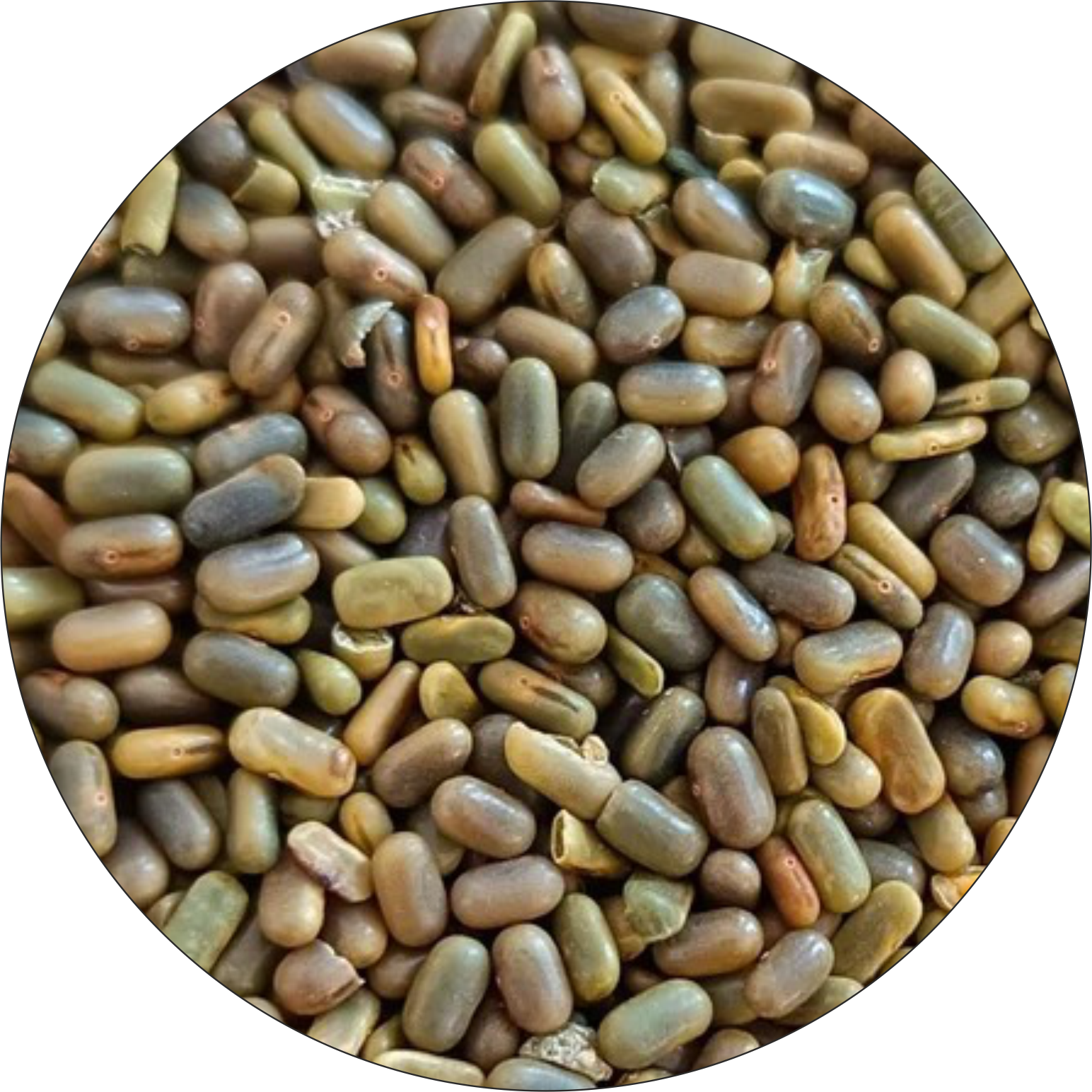 Pura Mark Seeds 